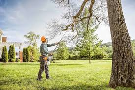 Best Commercial Tree Services  in Fort Hall, ID